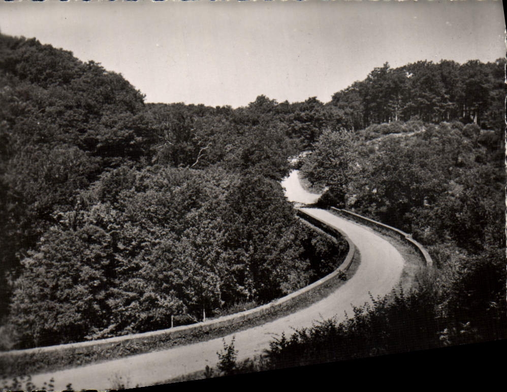 MODERN CARD Mervent the Bridge Of the Flood