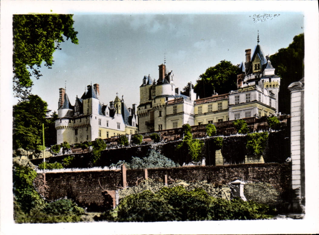 CPM Rigny Usse Le Chateau