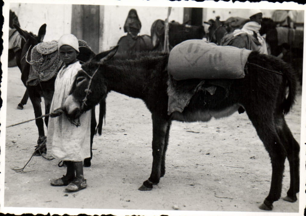 Photo Tunisie Enfant et son ane