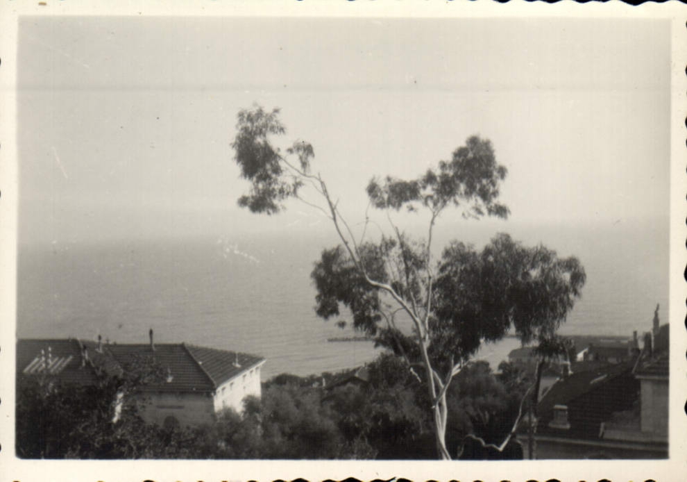 Photograph (nonlocalized)