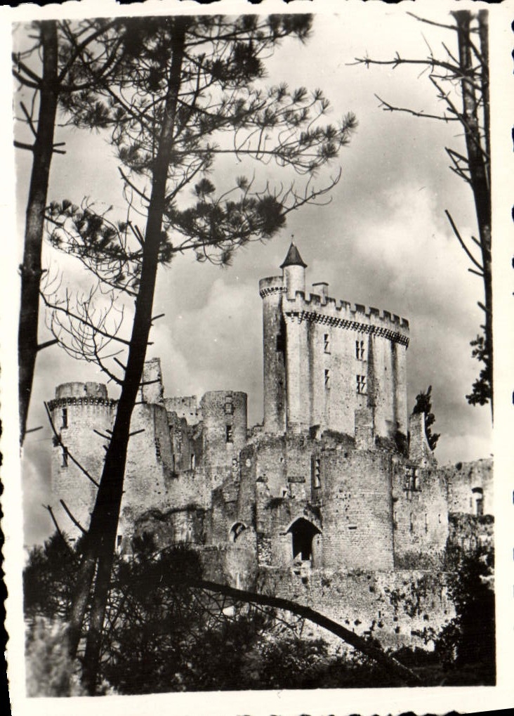 CPM Le Donjon Et Sa Tour De Guet Bonaguil