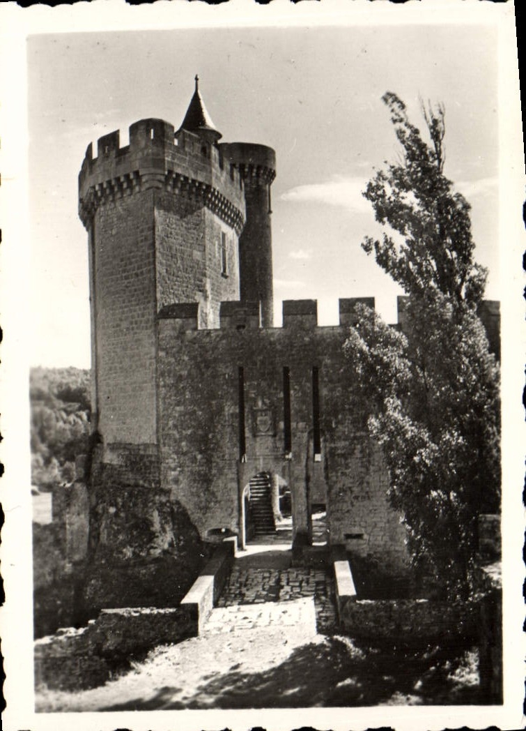 CPM Le Donjon Et Les Ponts Levis Bonaguil