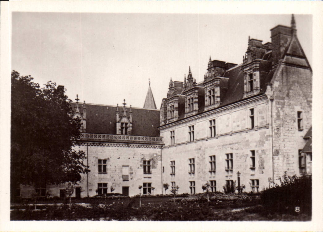 CPM Amboise Chateau