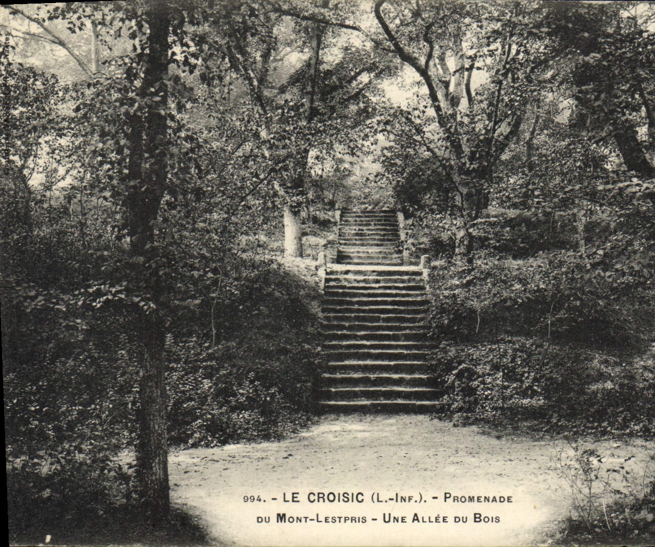 VINTAGE POSTCARD Croisic Walk Of the Lestpris Mount an Alley Of Wood