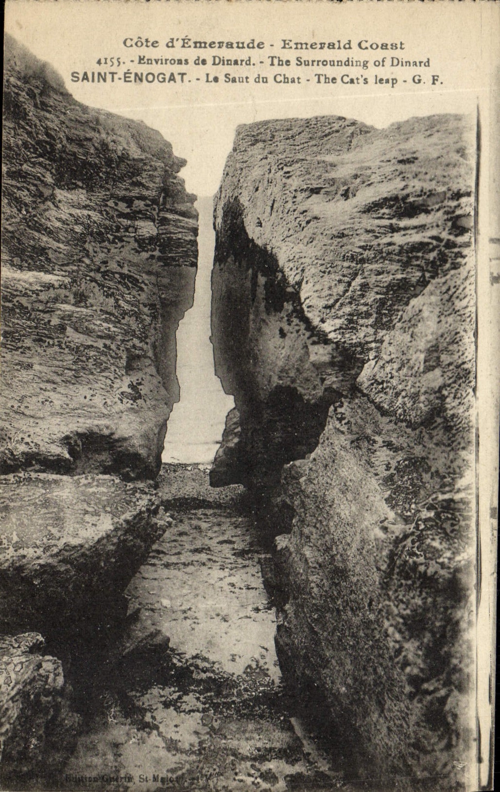 POSTAL Enogat santo de la VENDIMIA el salto del gato