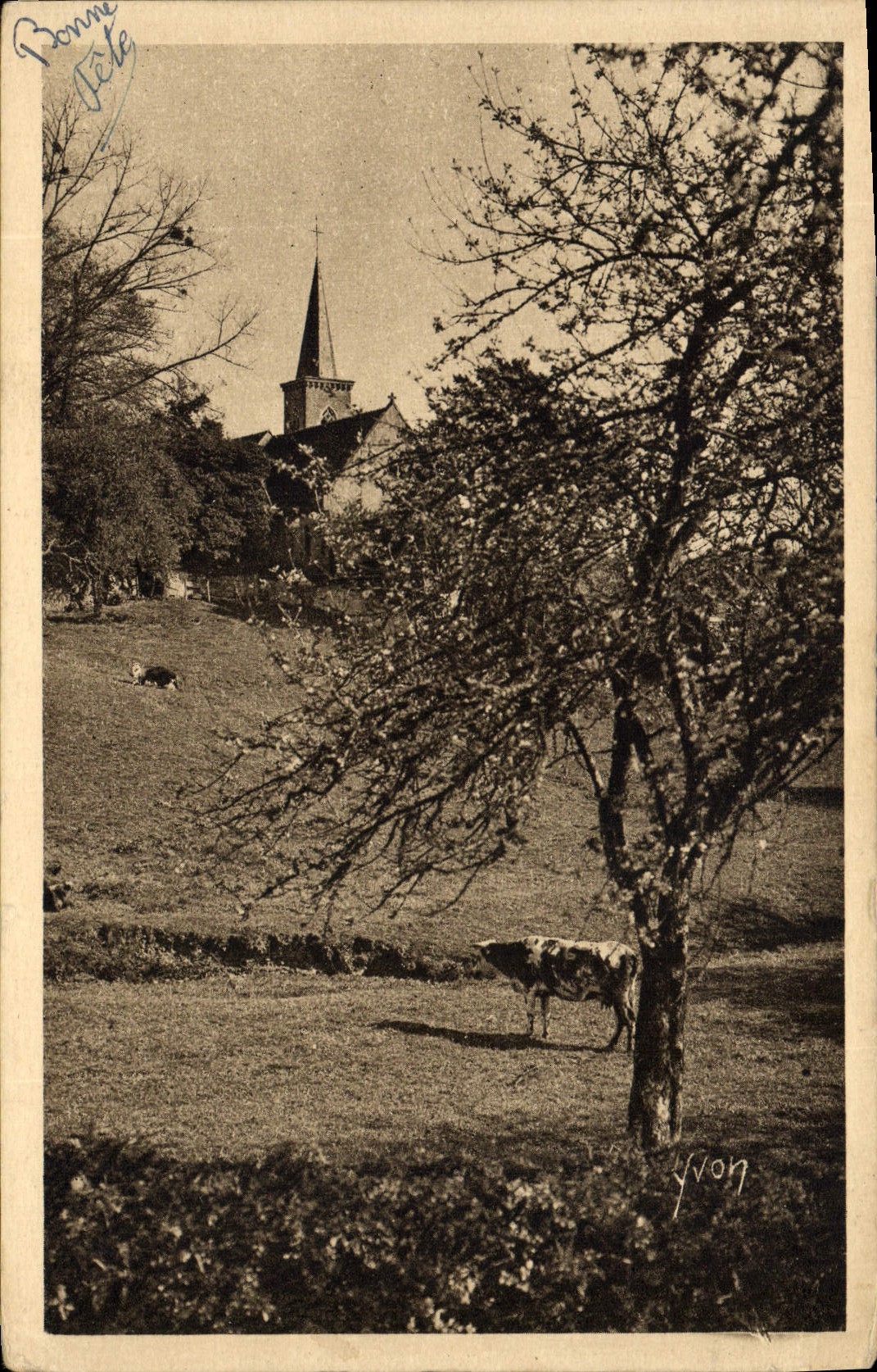 Paisaje suave de Francia Normandía de la POSTAL de la VENDIMIA de la vaca del normando de Suiza