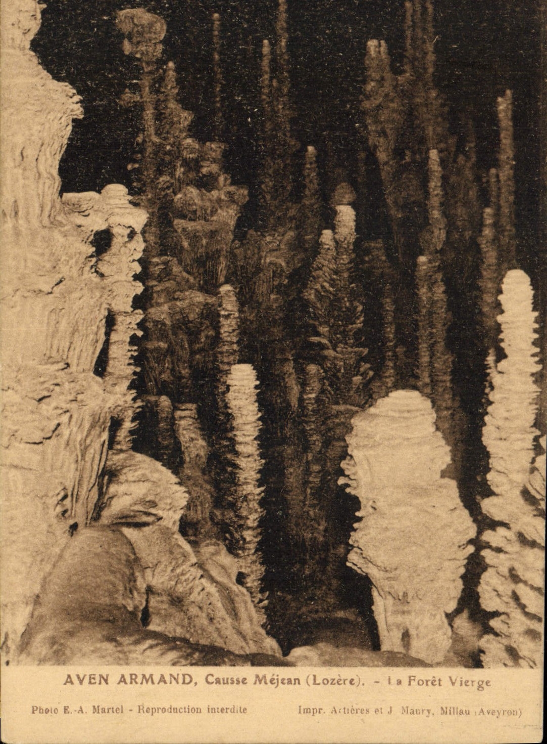 CPA Gorges Du Tarn Aven Armand La Foret Vierge Causse Mejean