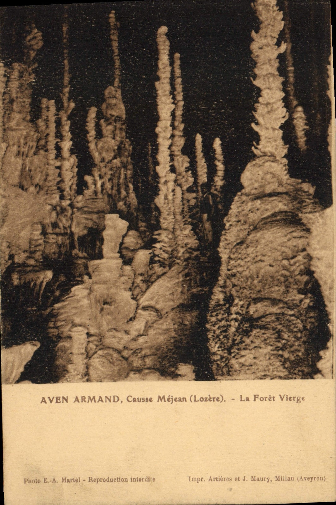 Gargantas de la POSTAL de la VENDIMIA del Tragar-agujero Armand Causse Mejean del Tarn el bosque virginal