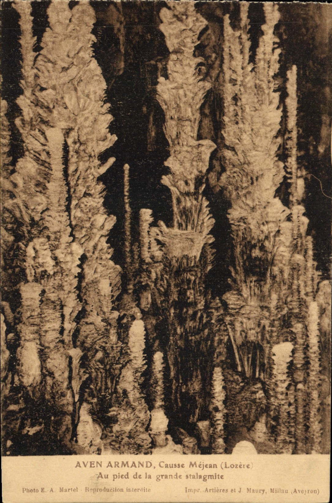 CPA Gorges Du Tarn Aven Armand Causse Mejean Au pied de la grande stalagmite