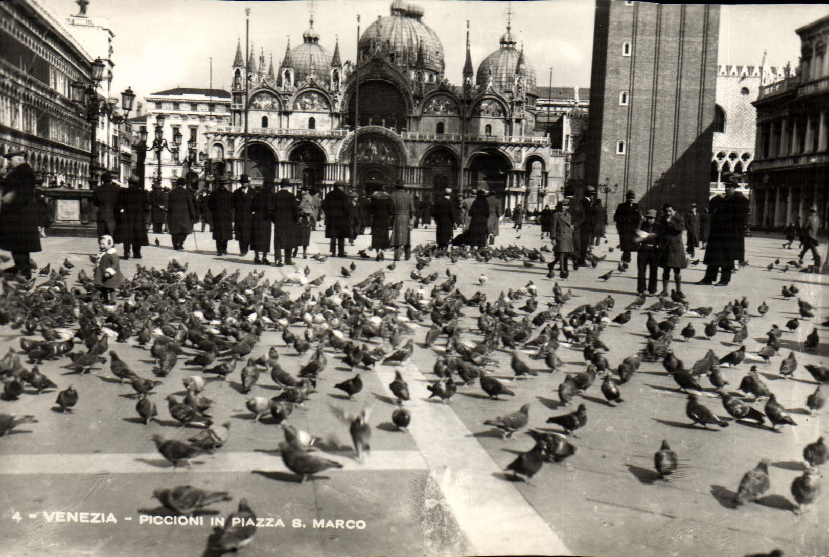 VINTAGE POSTCARD Venezia Piccioni in Piazza S Marco