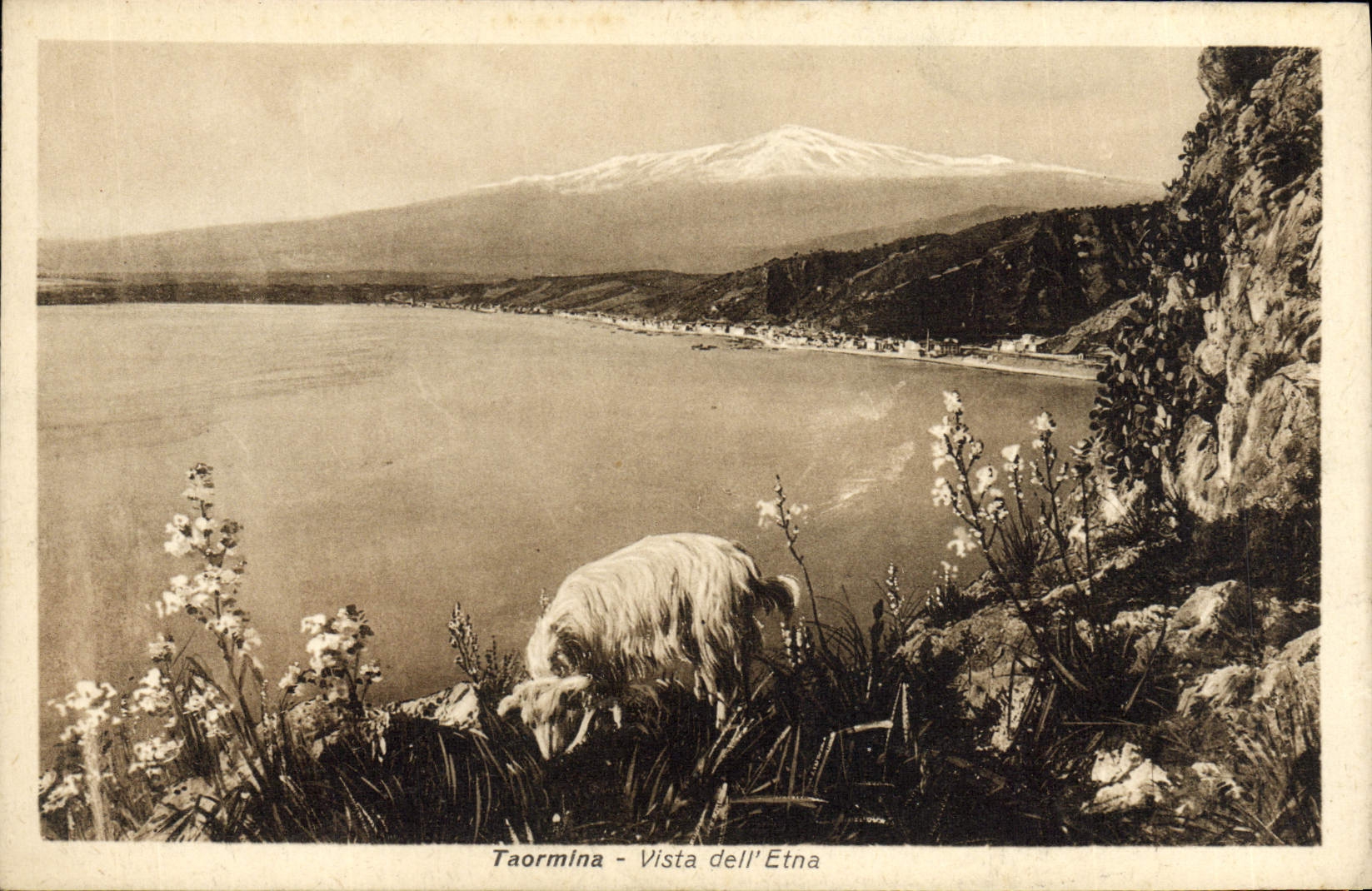 VINTAGE POSTCARD Taormina Vista Dell Etna