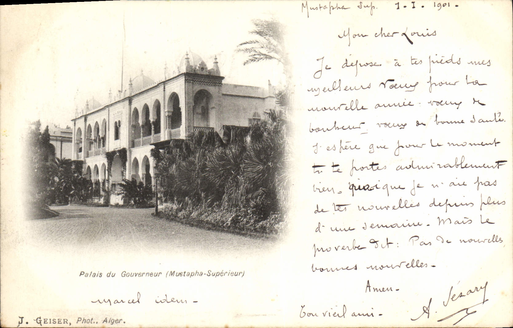 Paladar de Argel de la POSTAL de la VENDIMIA de Gouveneur Mustafá más arriba