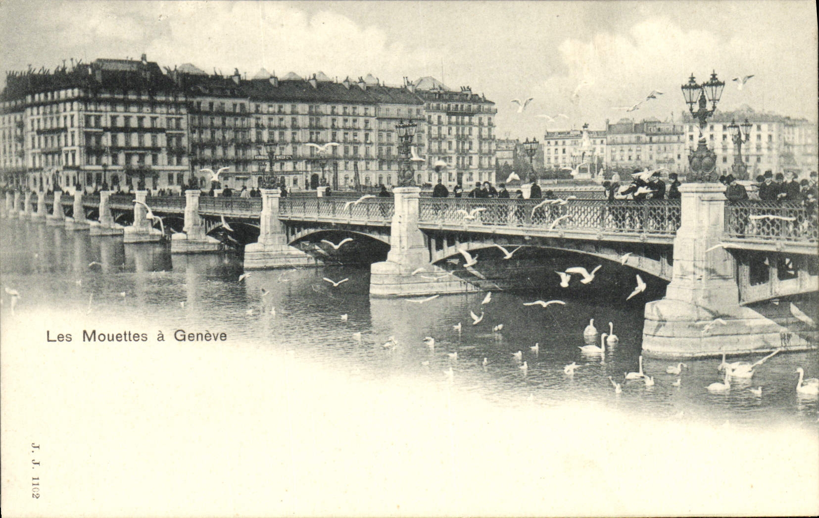 CPA Les Mouettes A Geneve