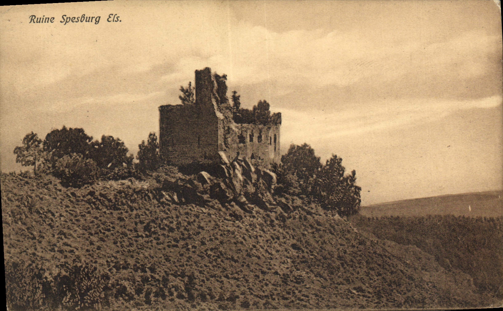 VINTAGE POSTCARD Ruin Spesburg Els