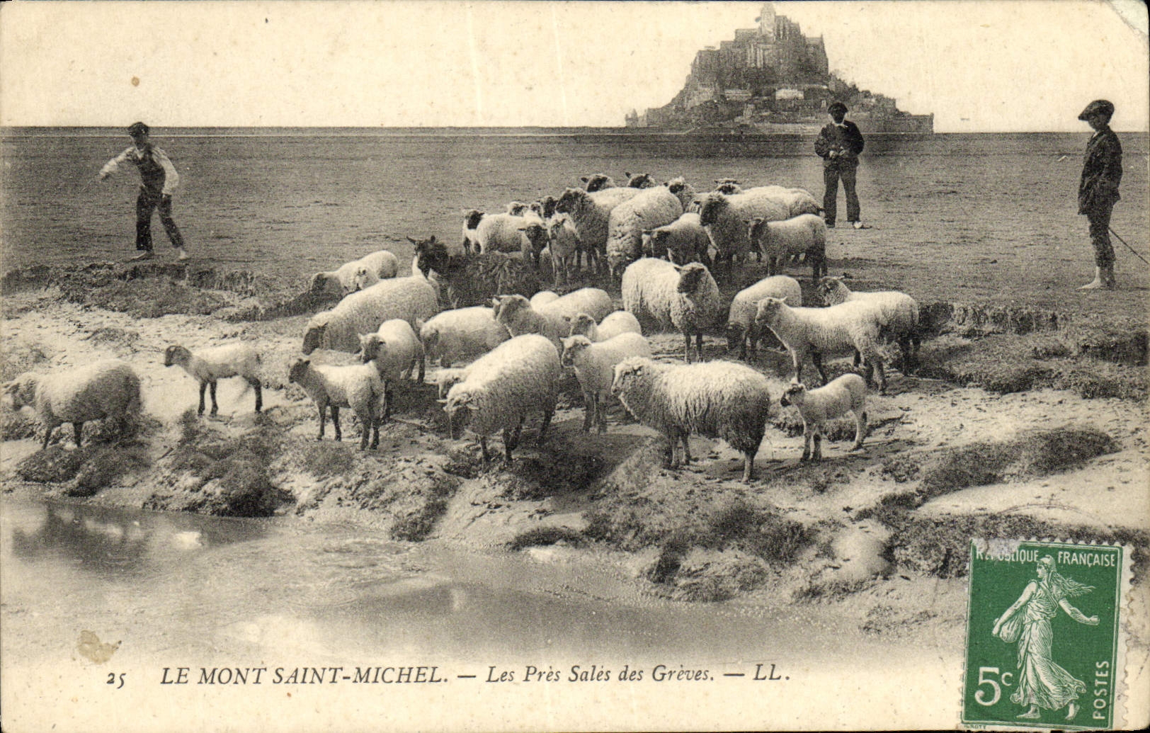 CPA Le Mont Saint Michel Les Pres Sales Des Greves Bergers et moutons 