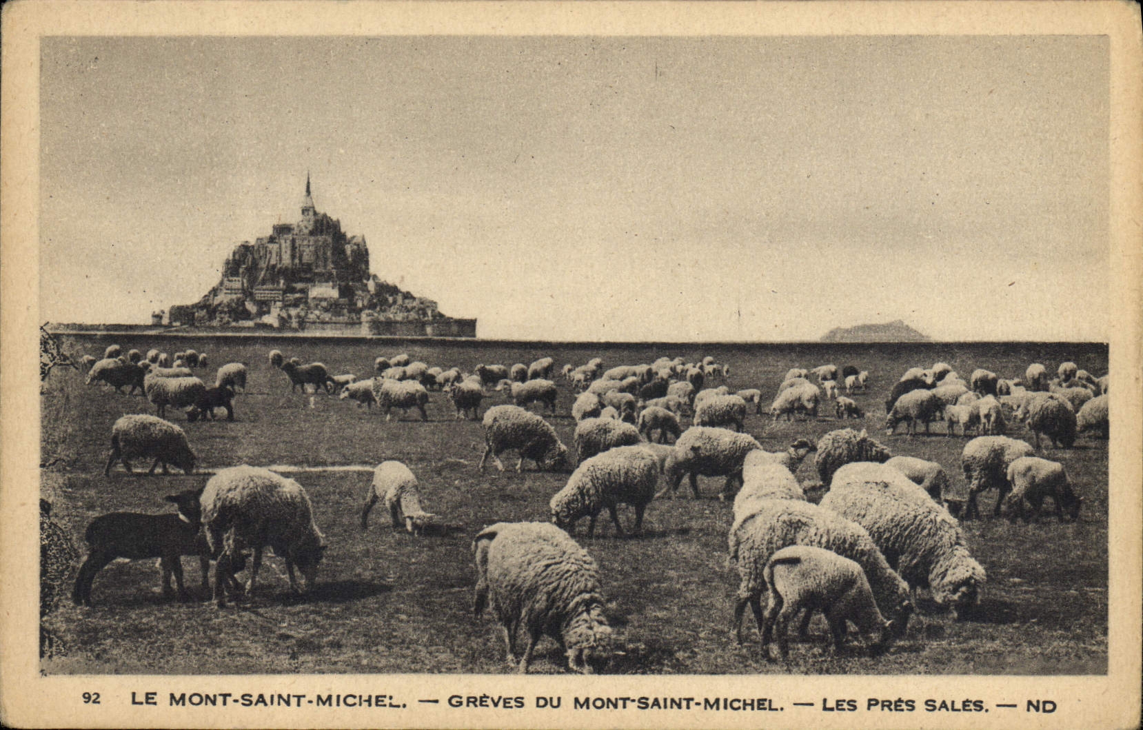 CPA Le Mont Saint Michel Greves Du Mont Saint Michel Les Pres Sales Moutons