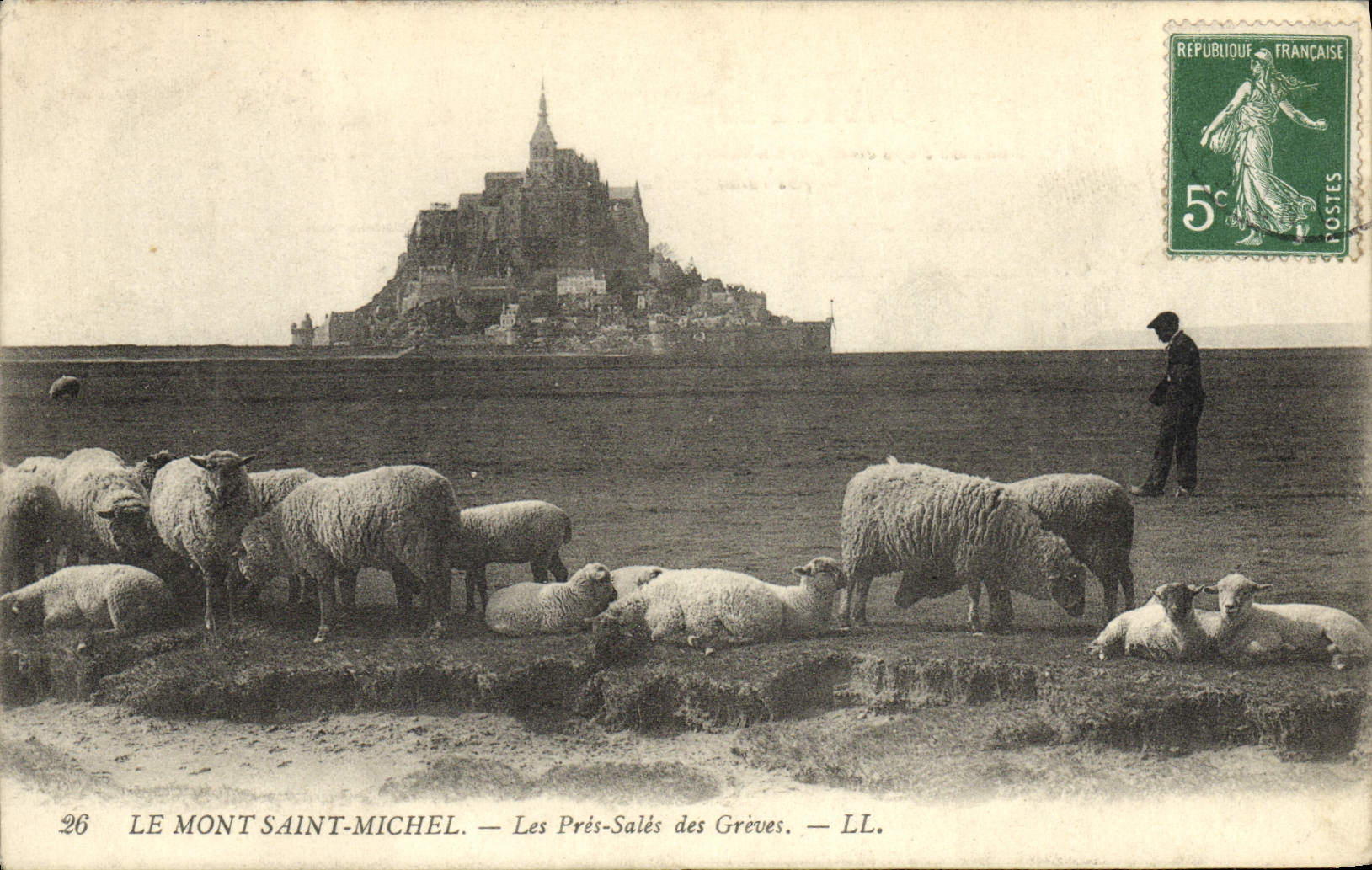 CPA Le Mont Saint Michel Les Pres Sales Des Greves Berger Moutons
