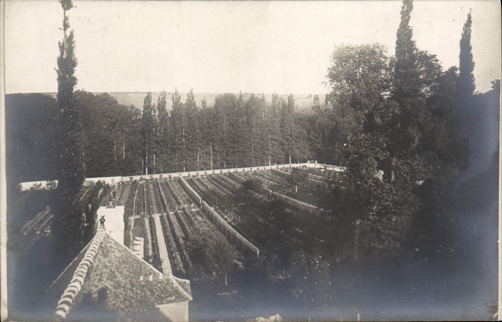 CARTE PHOTO Jardin 