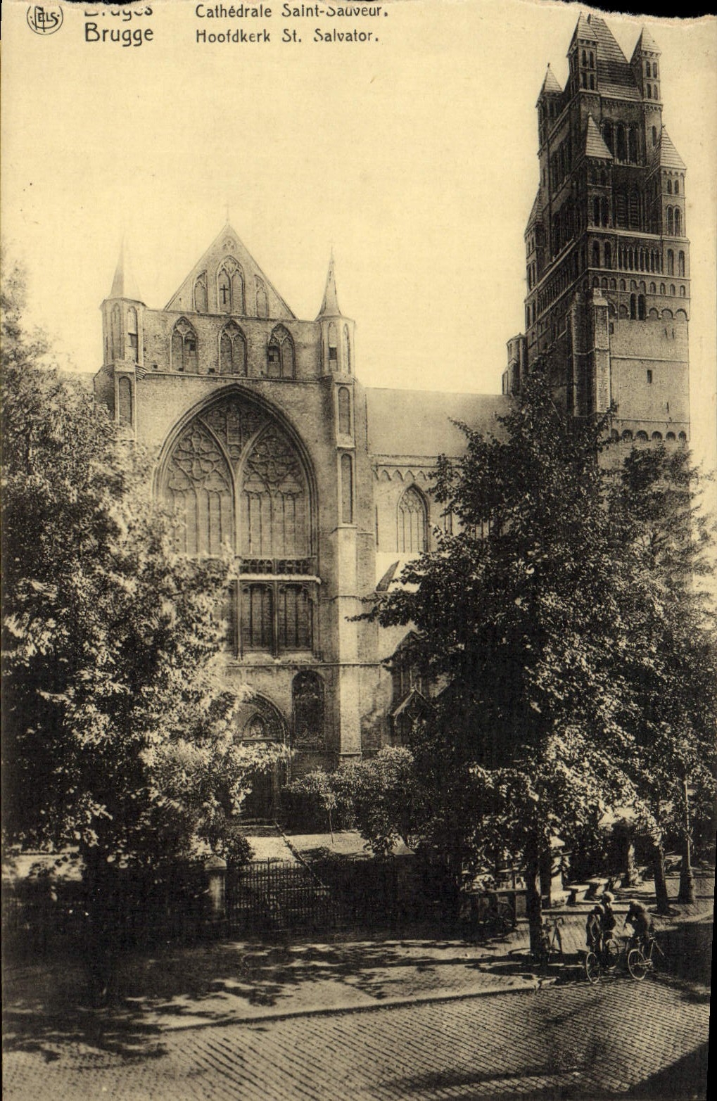 CPA Brugge Cathedrale Saint Sauveur