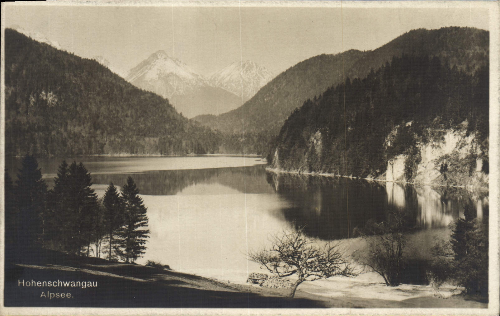 VINTAGE POSTCARD Hohenschwangau Alpsee