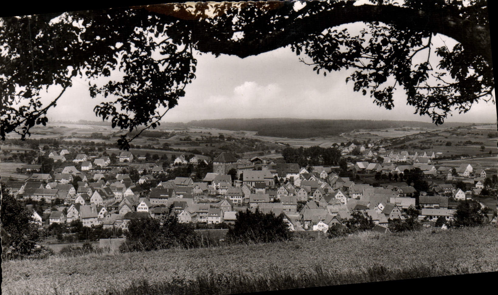 MODERN CARD Heimsheim