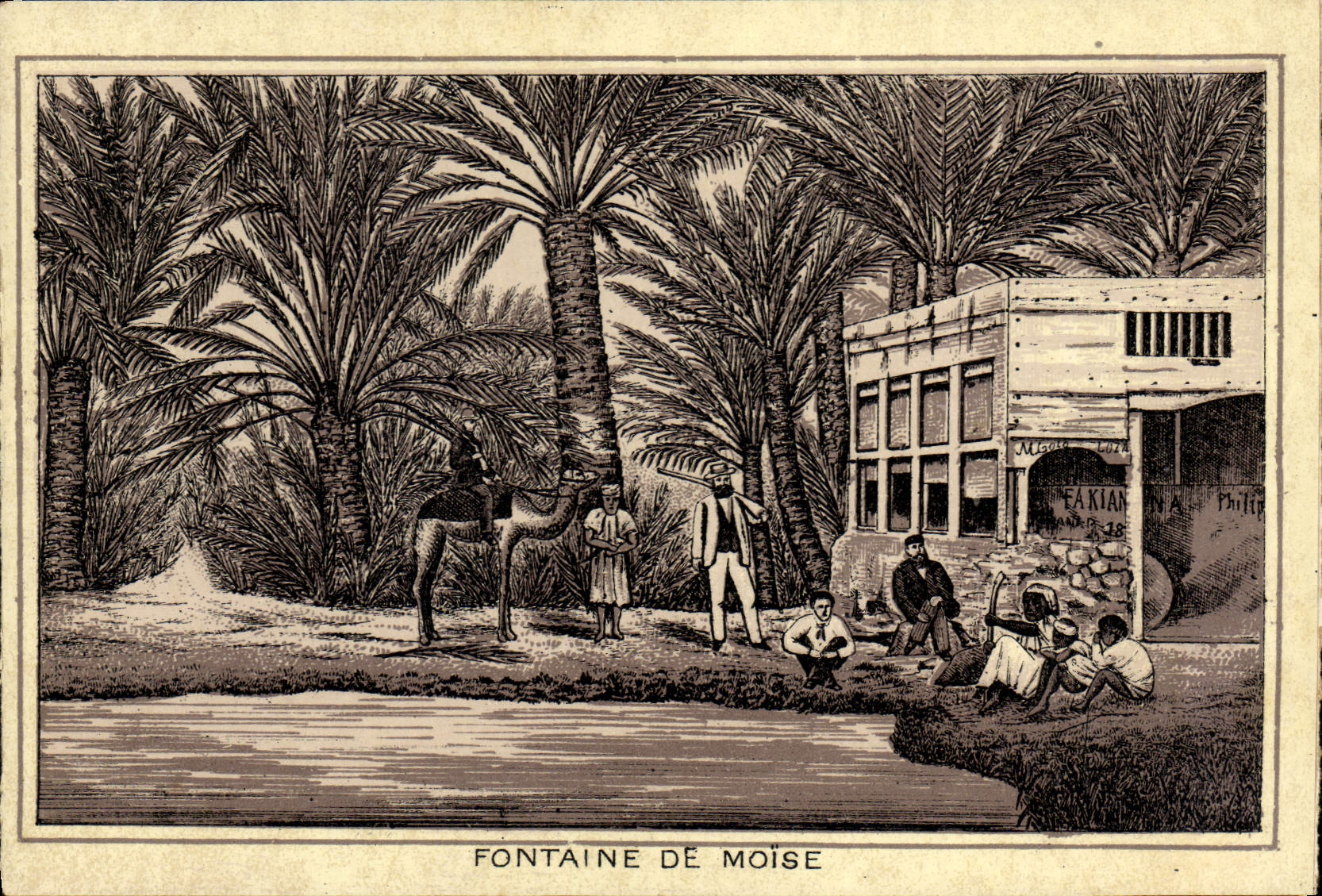 VINTAGE POSTCARD Egypt Fountain Of Brace