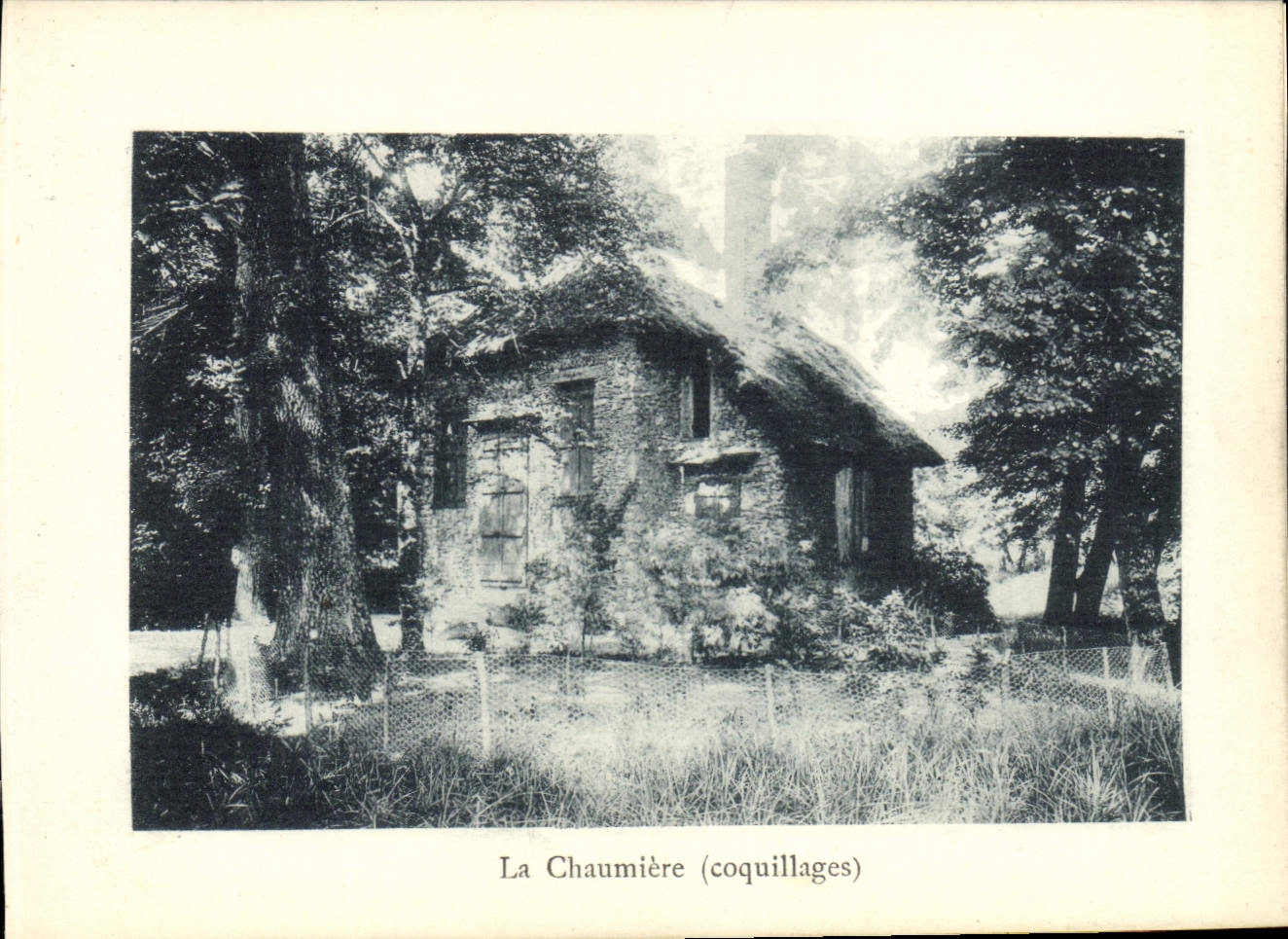 CPA Rambouillet La Chaumiere Coquillages