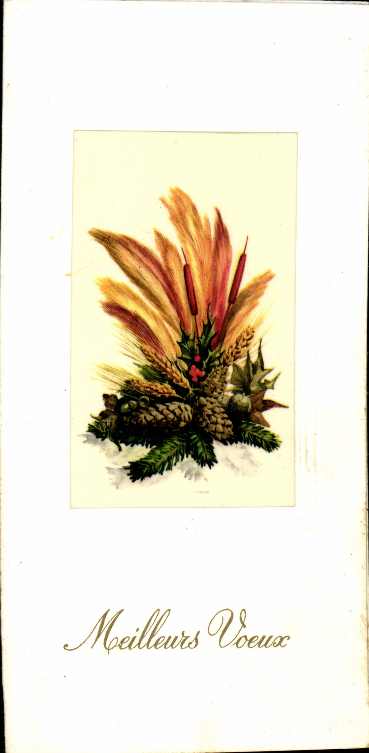 CPM Meilleurs Voeux Fleurs 