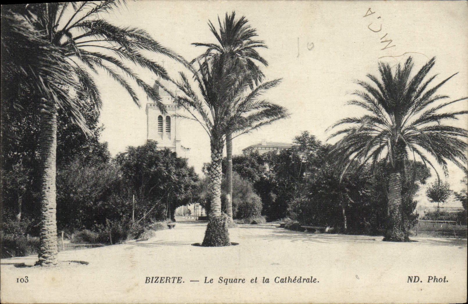 CPA Bizerte Le Square et la Cathedrale