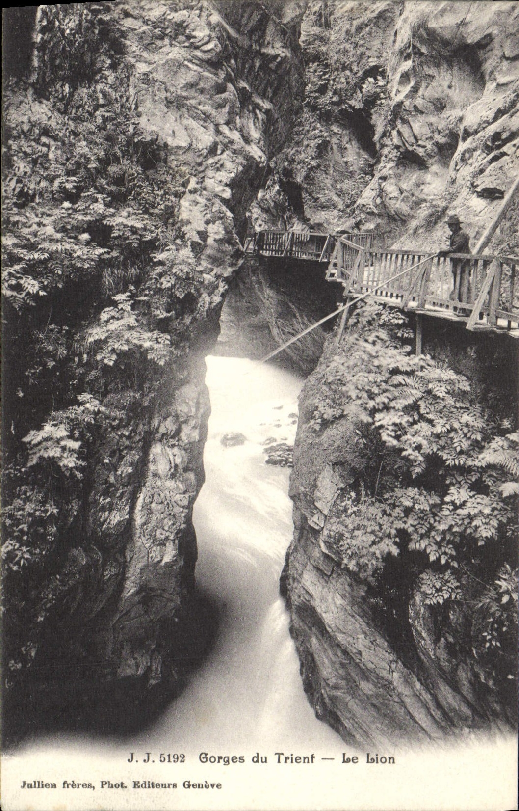 CPA Gorges du Trient Le Lion