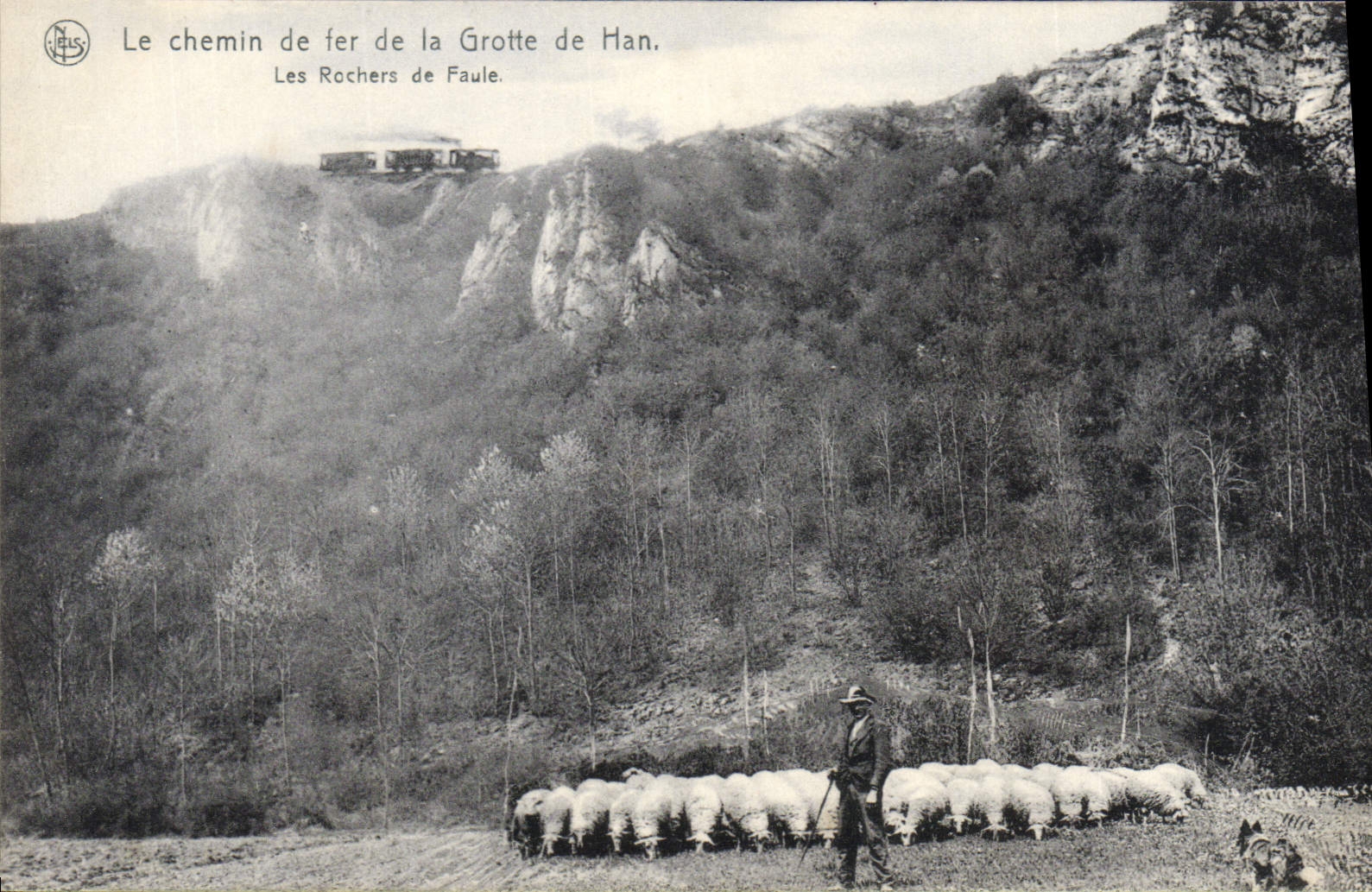 CPA Le Chemin de Fer de la Grotte de Han Les rochers de la Faule Berger Moutons Chien