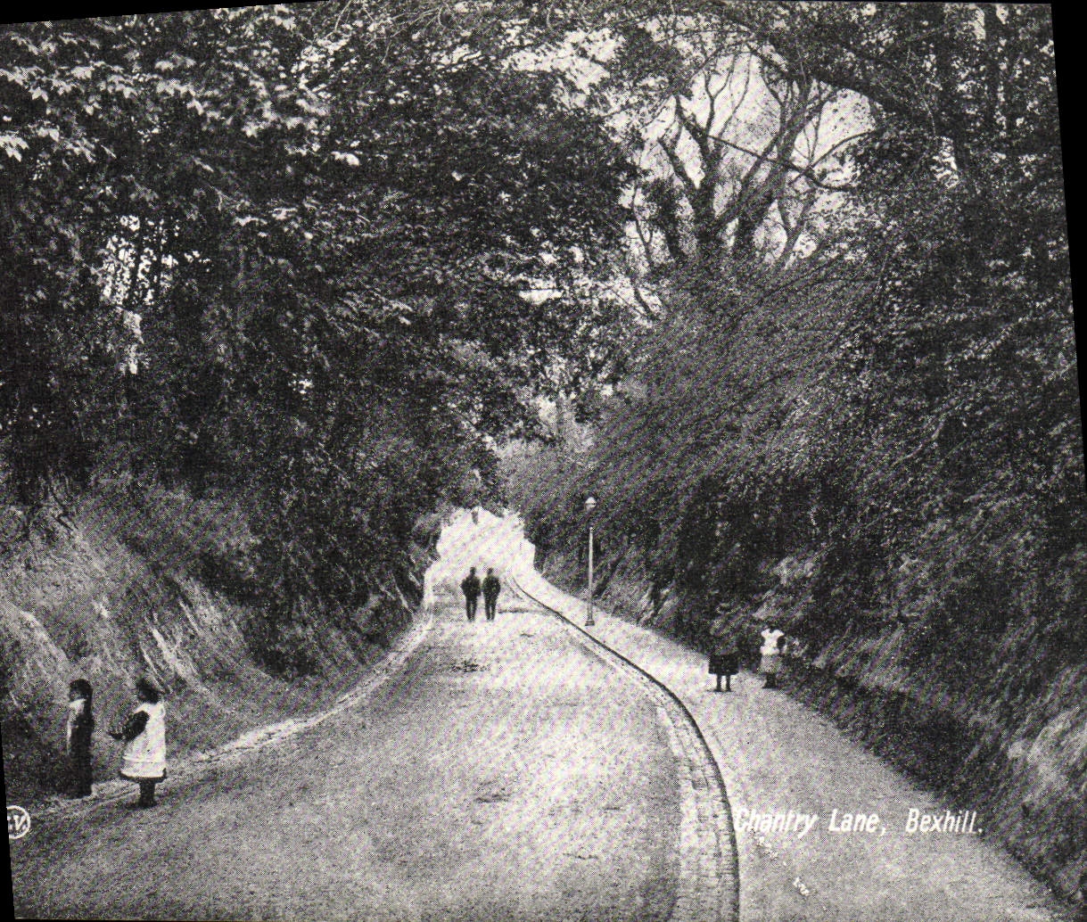 VINTAGE POSTCARD Chantry Lane Bexhill