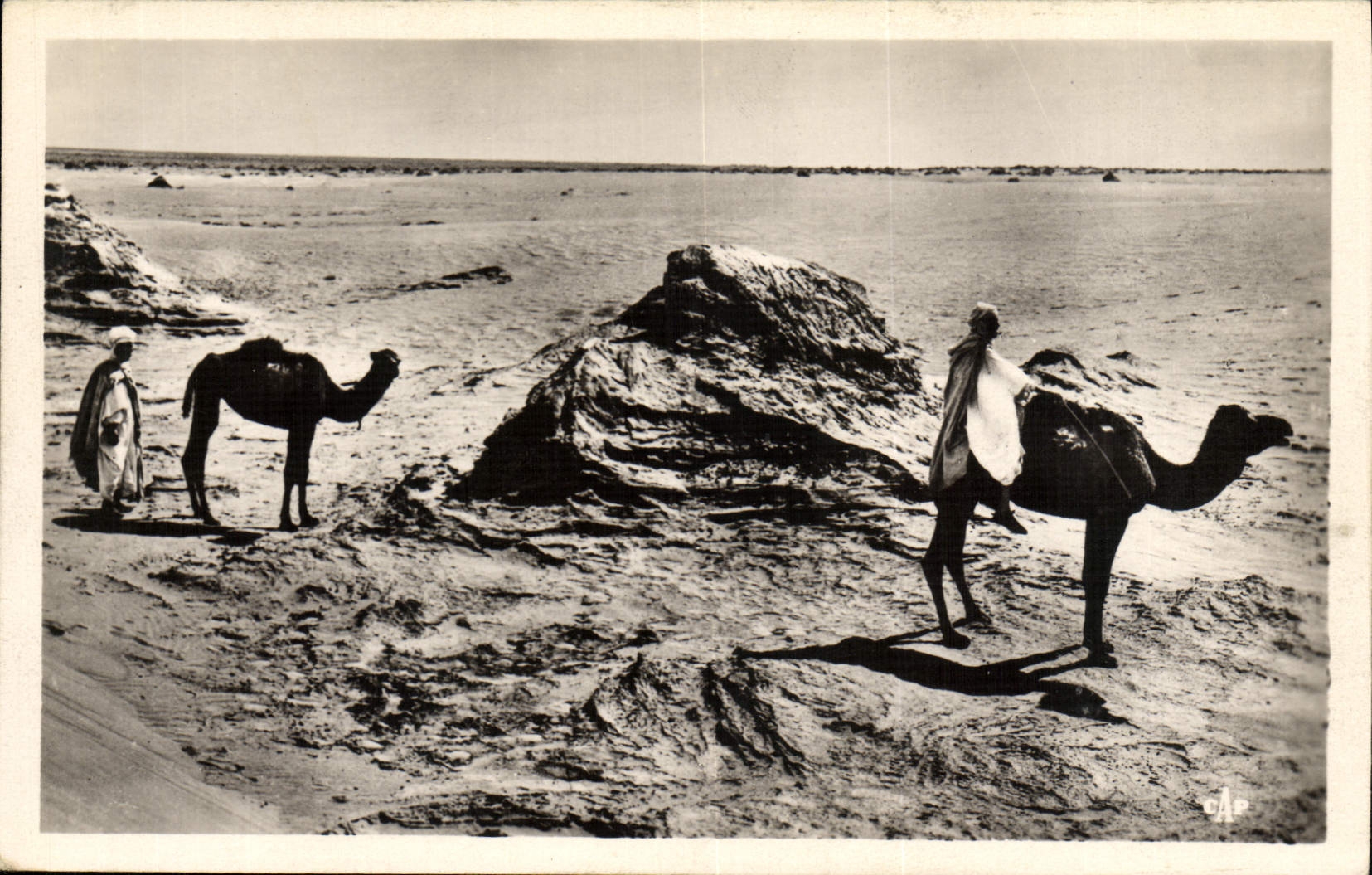 VINTAGE POSTCARD Scenes And Standard Camel drivers In Serves Camels