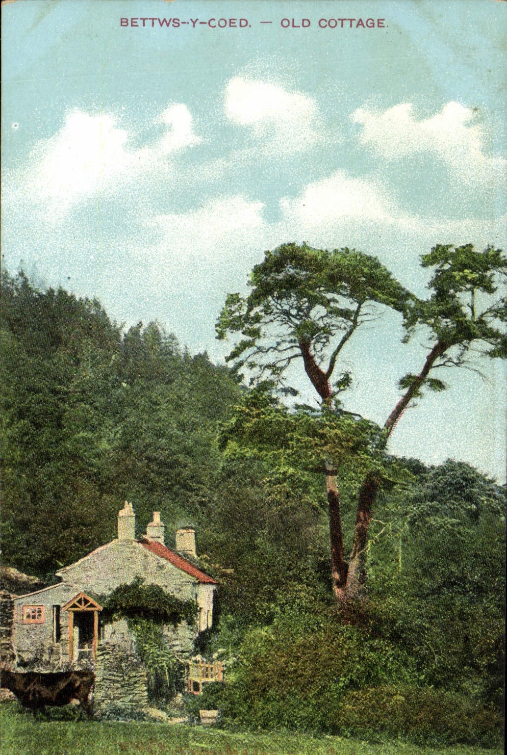 VINTAGE POSTCARD Bettws there Coed Old Cottage
