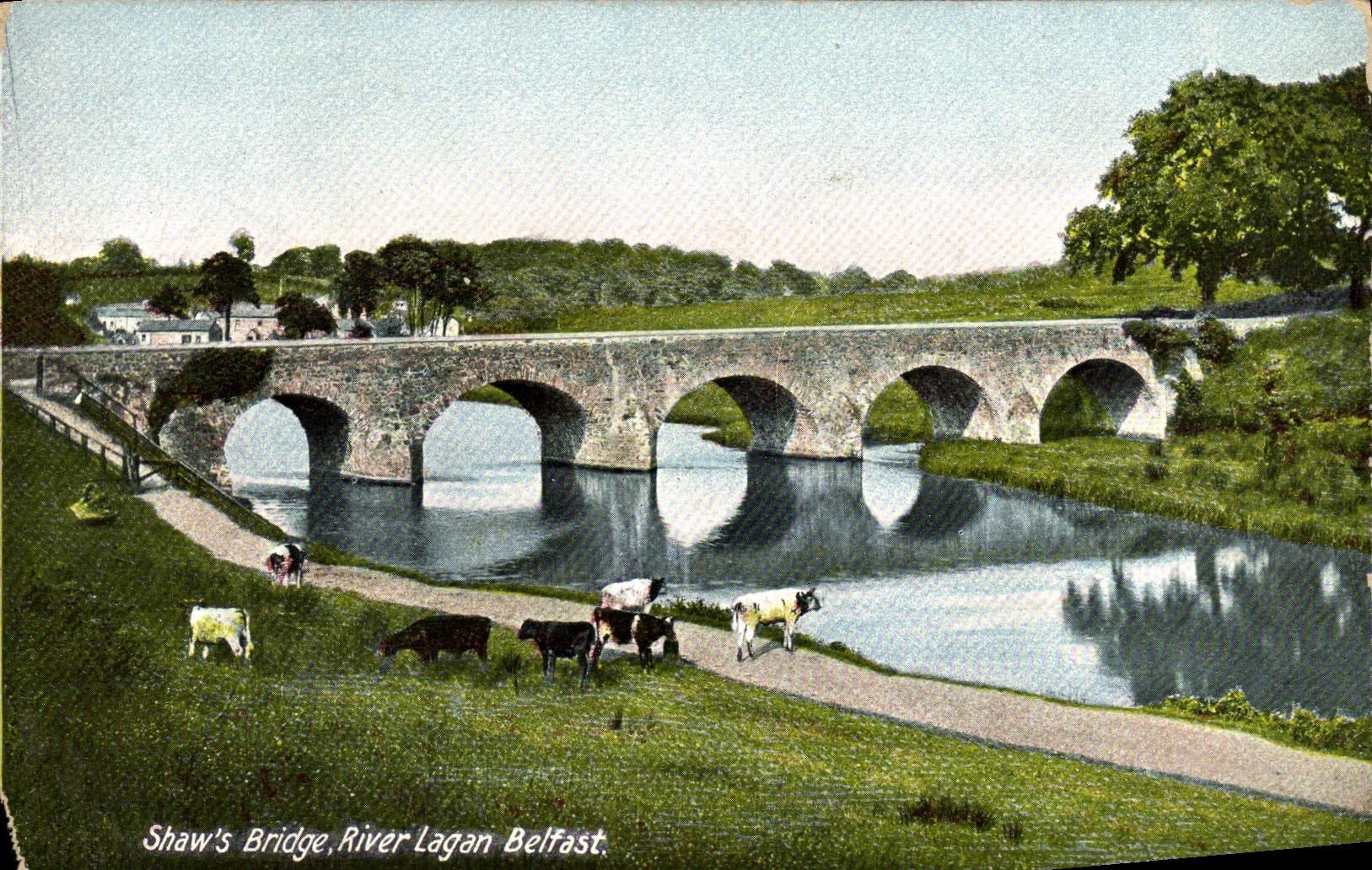 VINTAGE POSTCARD Shaw' S Bridge To rivet London Belfast