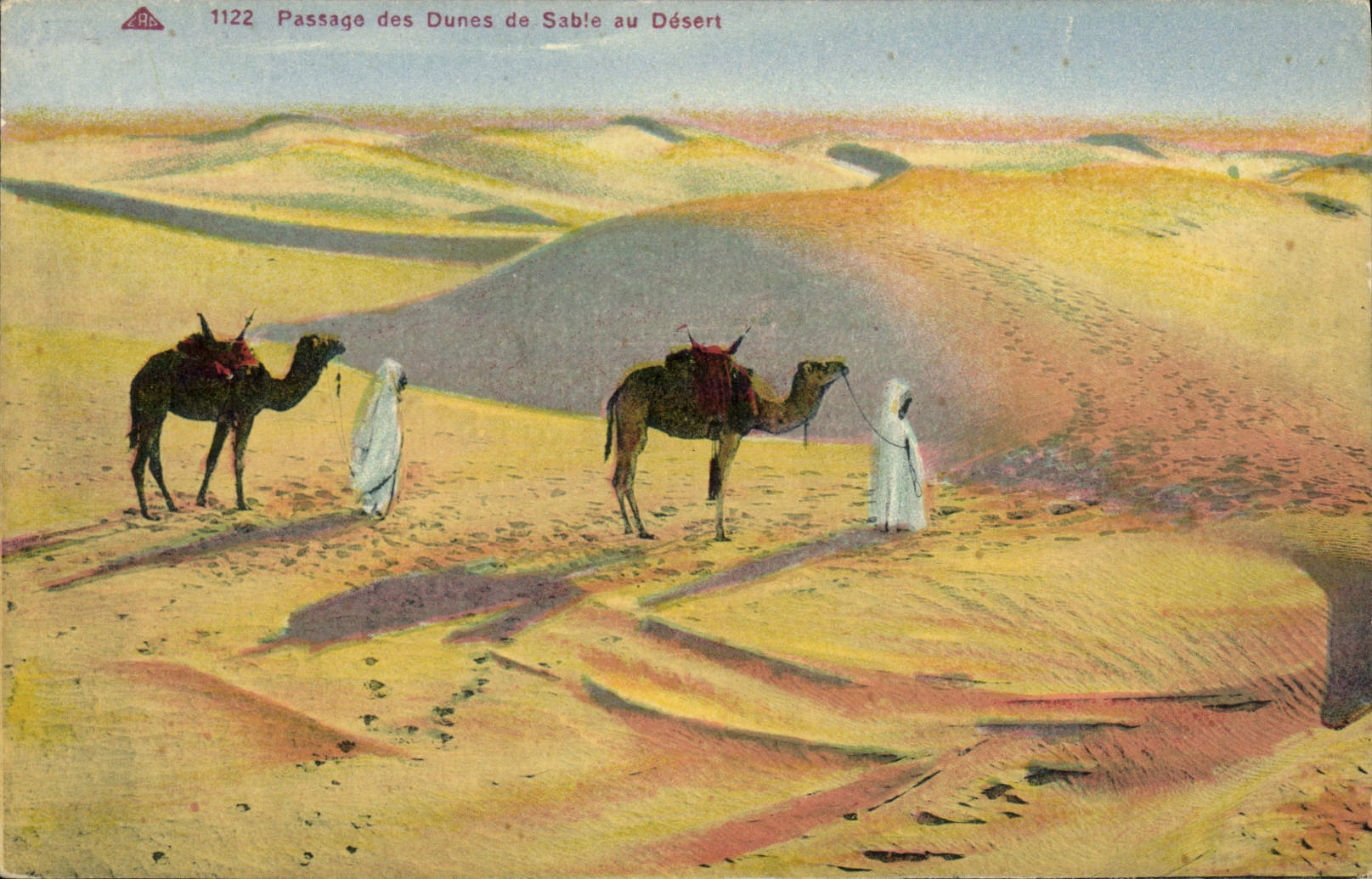 VINTAGE POSTCARD Passage Of the Sand Dunes Of Serves Camels