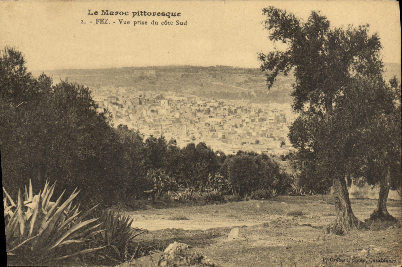 POSTAL Marruecos pintoresco Fes de la VENDIMIA vista de la parte meridional