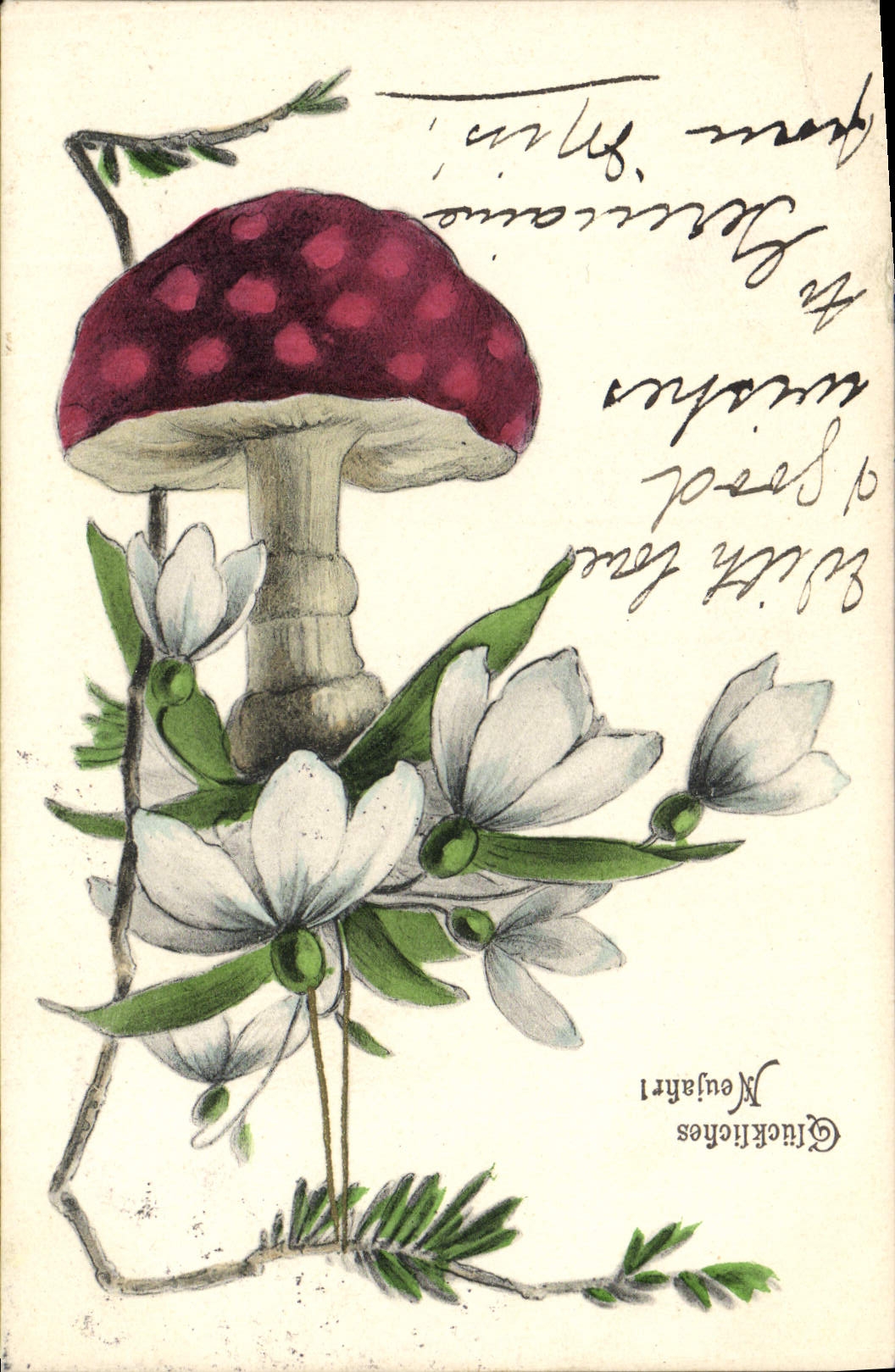 VINTAGE POSTCARD Champihnon Fantasy