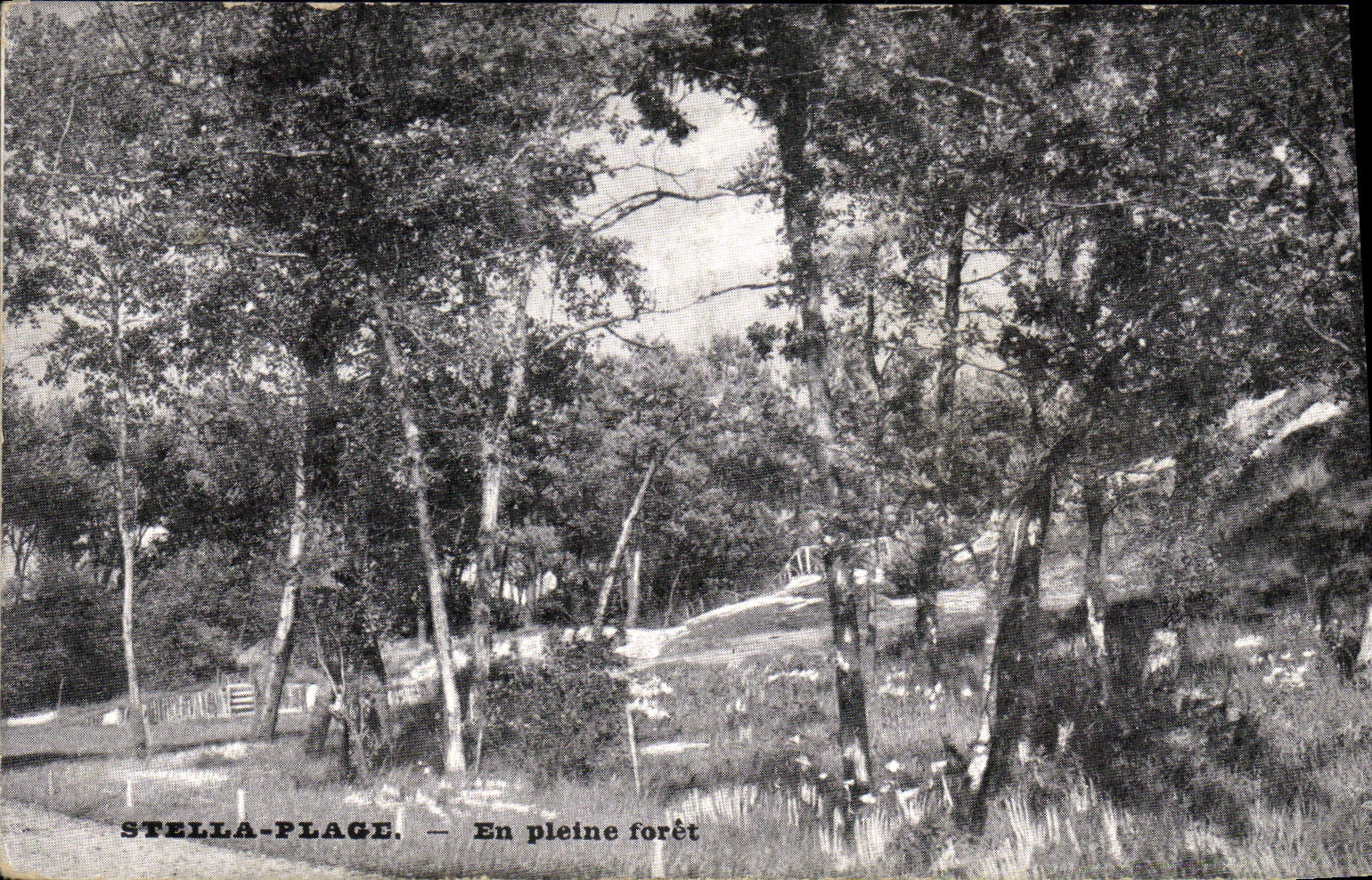 VINTAGE POSTCARD Stella Beach Into Full Drill