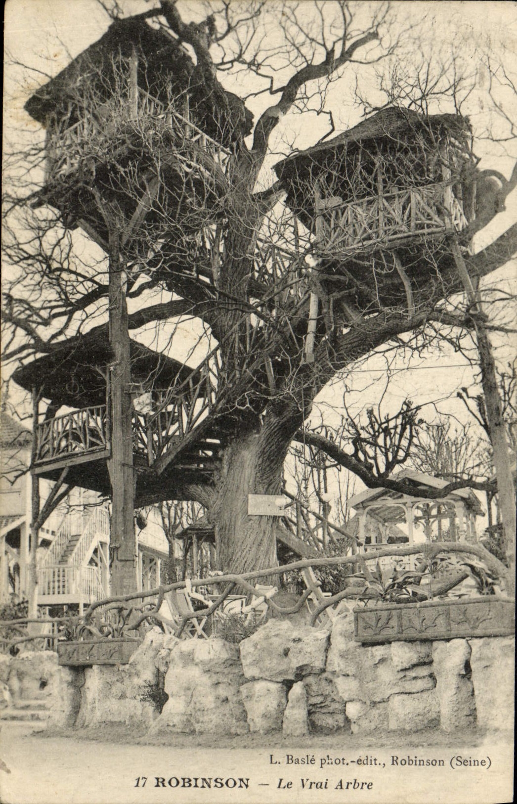 CPA Robinson Le Vrai Arbre