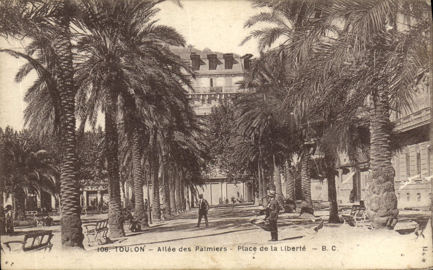 CPA Toulon Allee des Palmiers Place de la Liberie