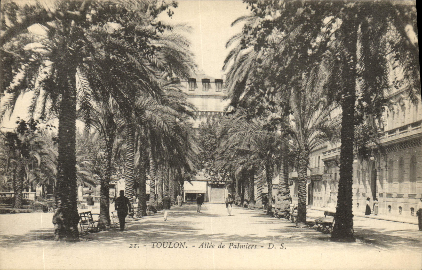 VINTAGE POSTCARD Toulon Gone of Palm trees