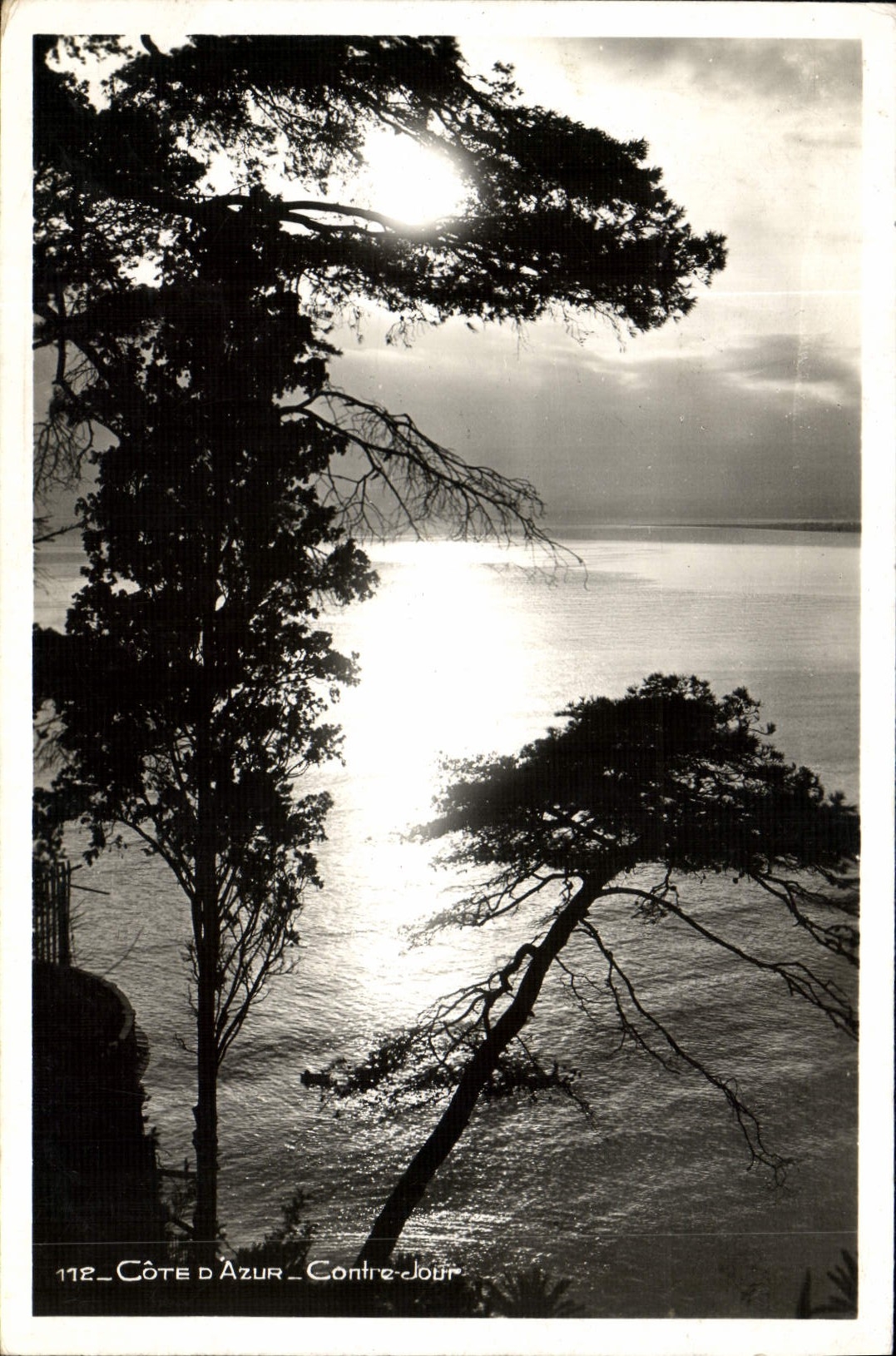 CPA Cote d'Azur Contre Jour