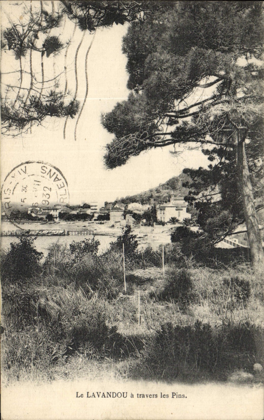 CPA Le Lavandou a Travers les Pins