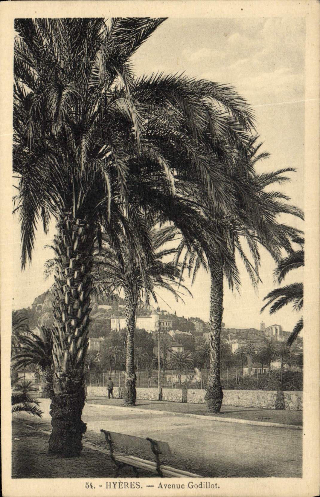 CPA Hyeres Avenue Godillot