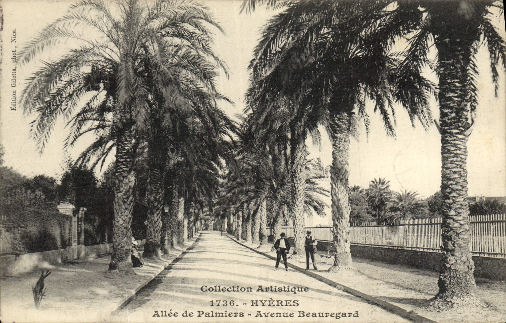 CPA Hyeres Allee de palmiers Avenue Beauregard