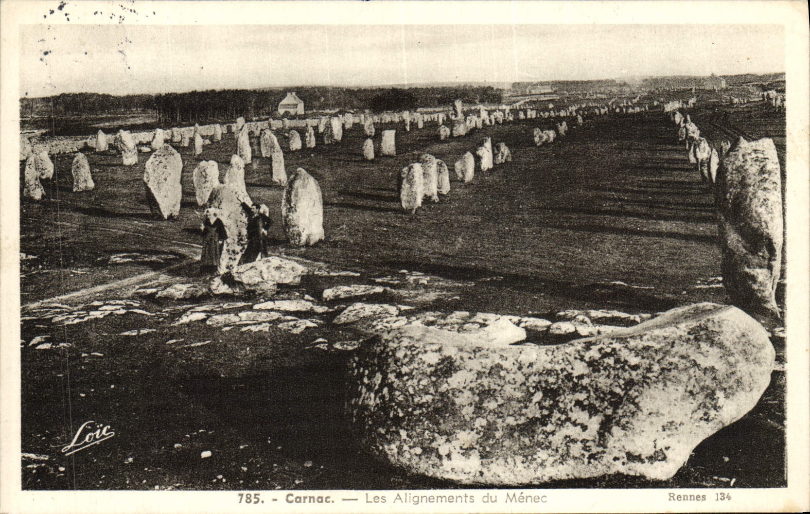 VINTAGE POSTCARD Carnac Alignments of Menec