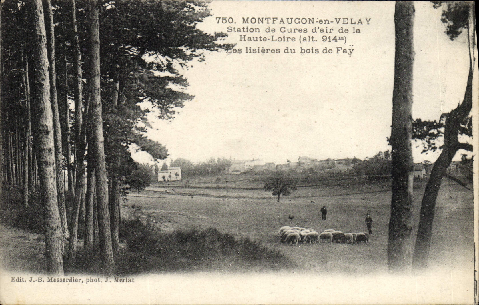 VINTAGE POSTCARD Montfaucon In Velay Station Of Cures of air edges of the wood of Fay Sheep