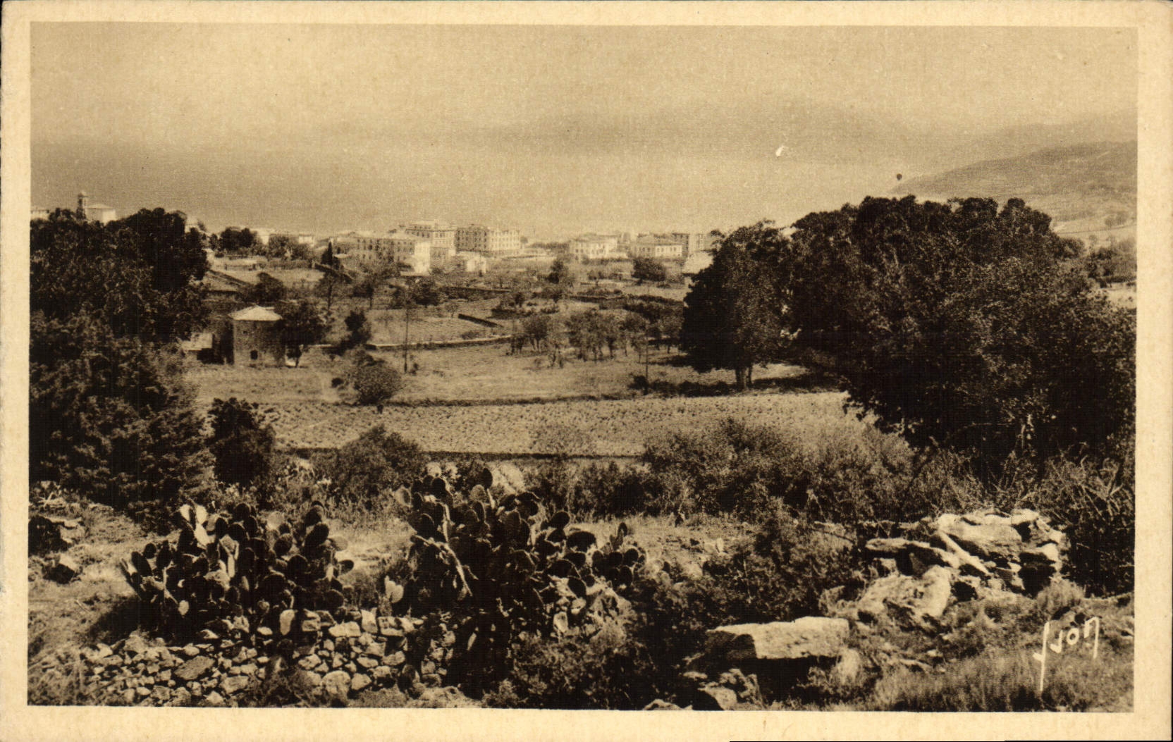 Opinión Russet-red Córcega de la isla de la POSTAL de la VENDIMIA