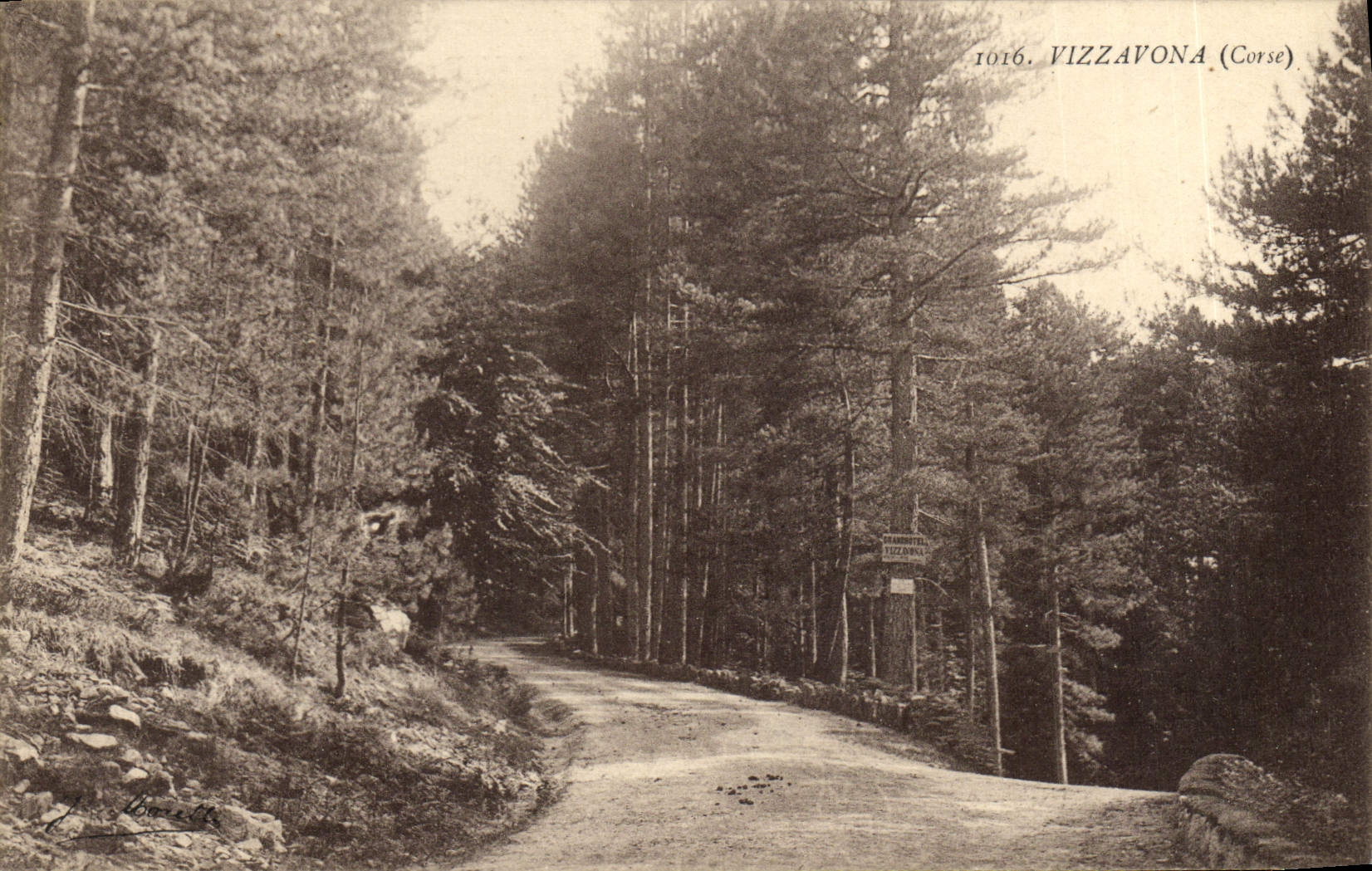 VINTAGE POSTCARD Vizzavona